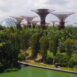 Gardens by the Bay: A Botanical Wonderland in the Heart of Singapore