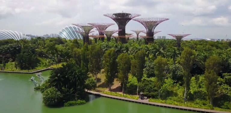 Gardens by the Bay: A Botanical Wonderland in the Heart of Singapore